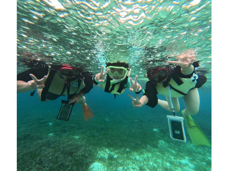 【沖縄・備瀬】お手軽ビーチシュノーケリングの紹介画像