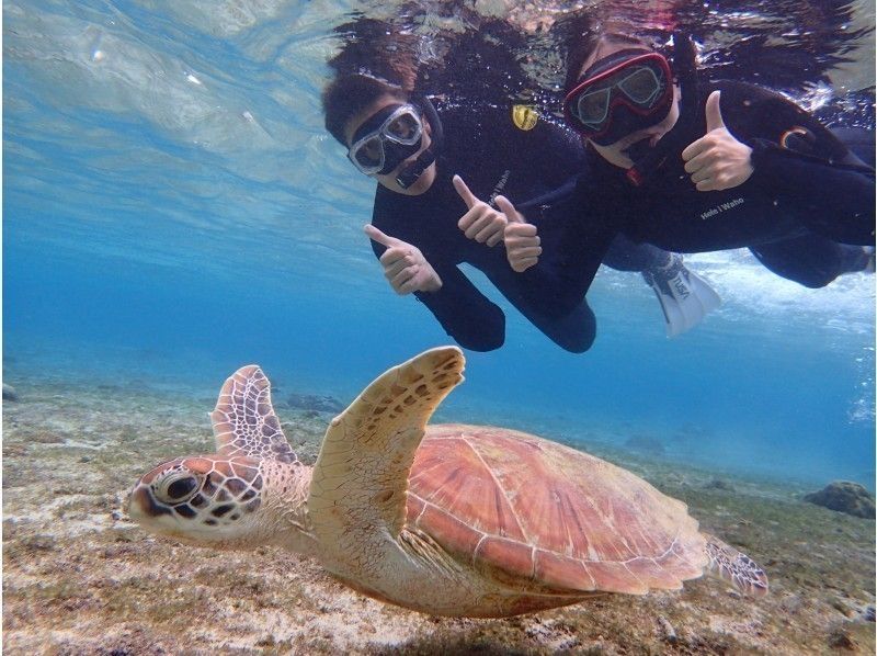 沖縄　宮古島　ウミガメ