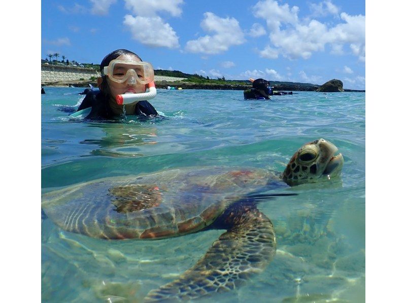 [冲绳宫古岛]海龟浮潜之旅（3小时）☆参观高质量的照片礼物☆の紹介画像