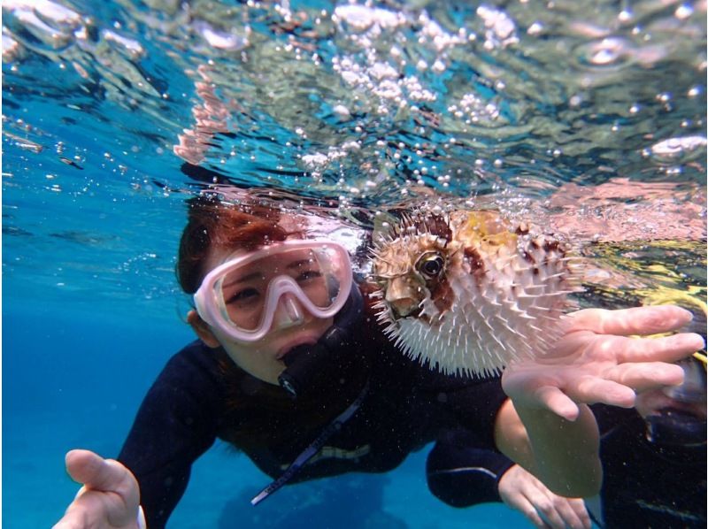 [冲绳宫古岛]海龟浮潜之旅（3小时）☆参观高质量的照片礼物☆の紹介画像