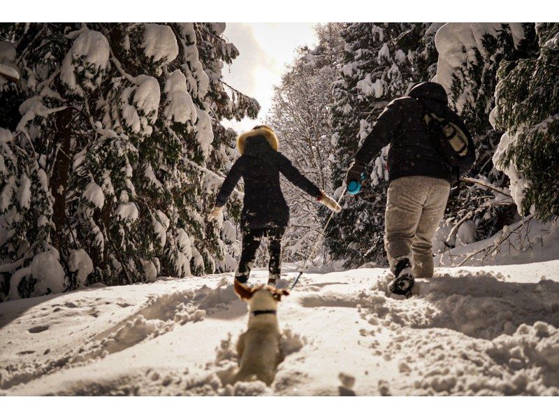 [Nagano ・ Hakuba]Snowshoes tour of the rabbit forest (with hot drinks)の紹介画像