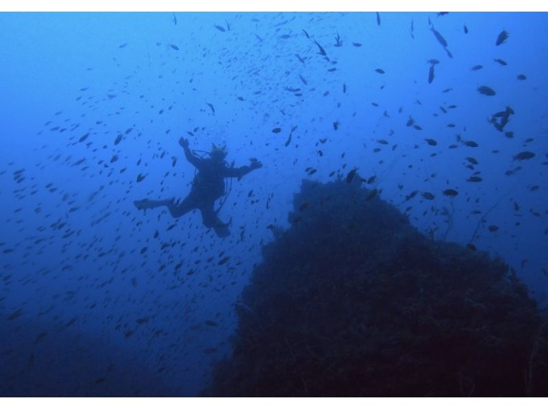 [Shizuoka-Shimoda] Welcome beginners! A safe and secure experience of PADI5 Star Diving