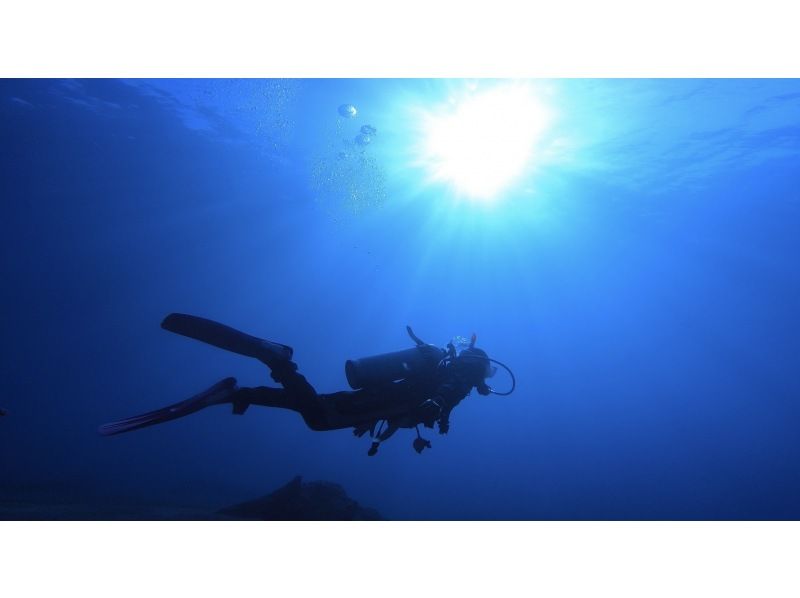 【静岡・下田】初心者歓迎！PADI5スターが誇る安心・安全の体験ダイビングの紹介画像