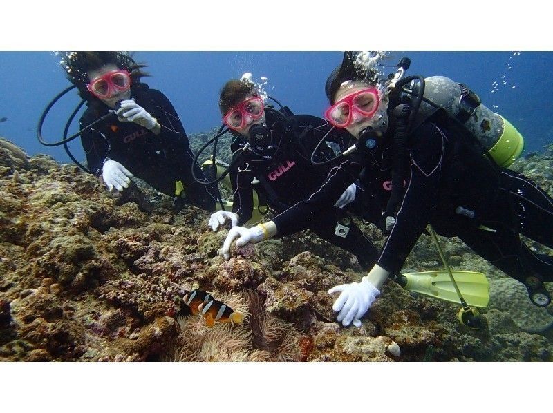 [Okinawa / Miyakojima] The most popular! Boat experience Diving (2 dives) in two places of the point is unsatisfactory by-one Diving ◆ equipment is all disinfection and sterilization ◆の紹介画像