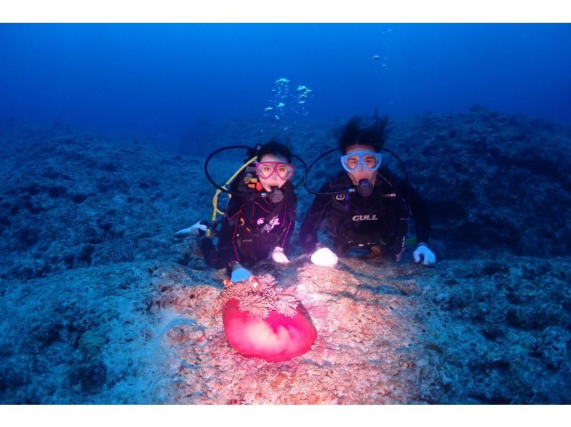 [冲绳-宫古岛]船体验深潜（2次潜水）·在空闲时间浮潜免费の紹介画像