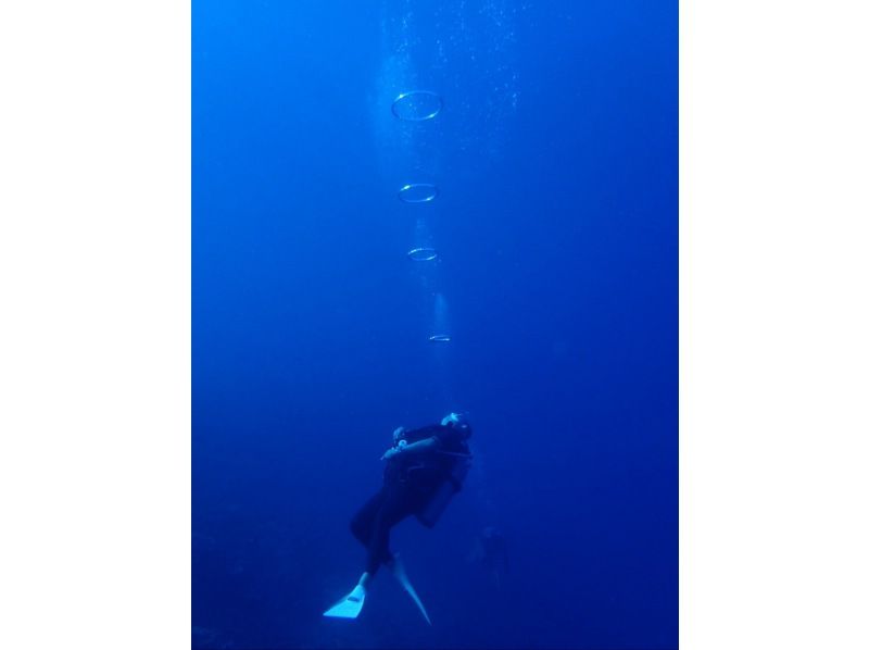 [Fukui ・ Echizen] Experience in the beautiful sea of Echizen Blue Diving Let's do it! Plenty of 2 dive plans ♪の紹介画像