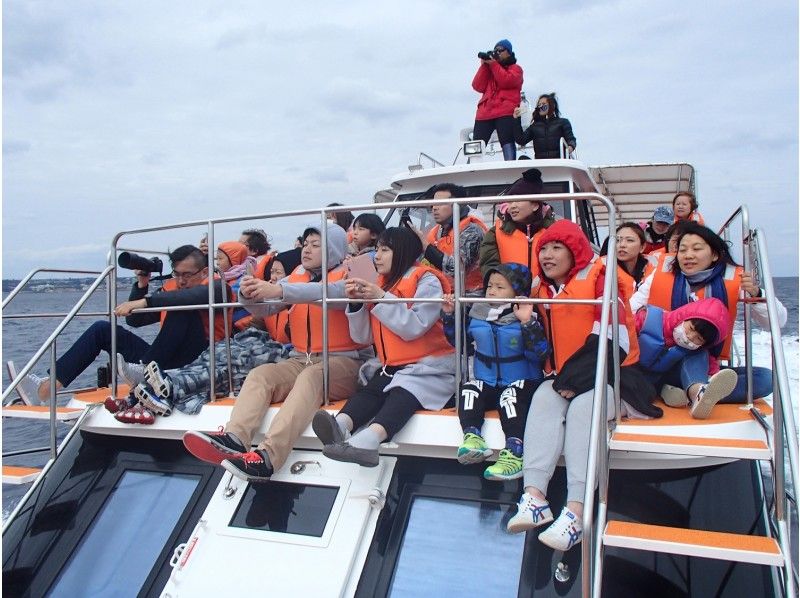 Okinawawhale watchingの時期とおすすめの場所を徹底紹介!