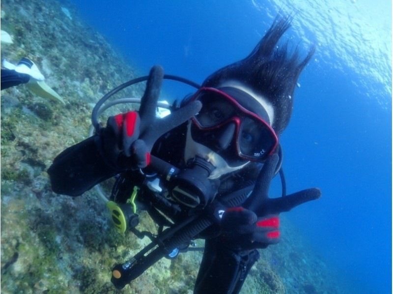 【屋久島・体験ダイビング】初心者専門店｜一番人気！たっぷり遊泳｜スタンダード1ダイブロング（60分）｜専用施設＆温水シャワー完備（海から2分の紹介画像