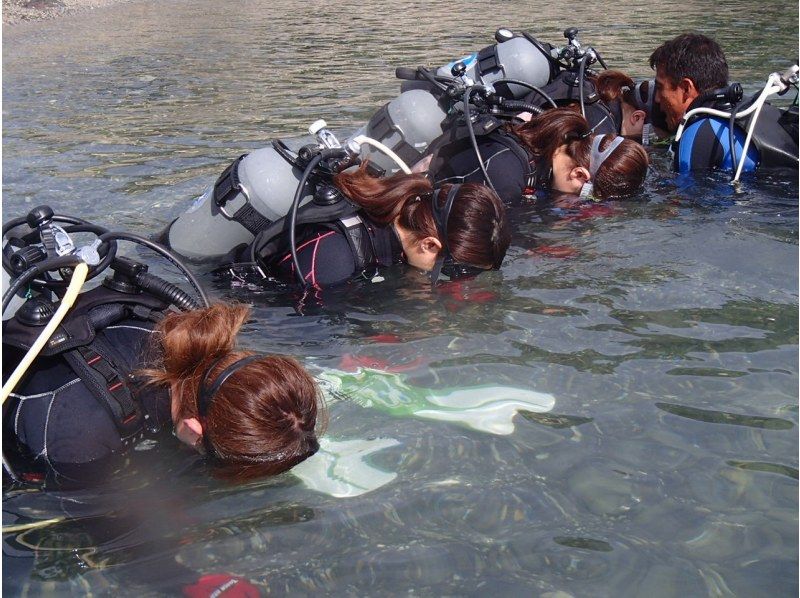 【屋久島・体験ダイビング】初心者専門店｜一番人気！たっぷり遊泳｜スタンダード1ダイブロング（60分）｜専用施設＆温水シャワー完備（海から2分の紹介画像