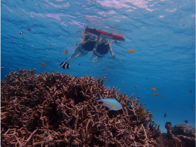 水下相機租賃免費的！受歡迎的SNS亮點☆幻影島登陸和關西礁石浮潛之旅♪の紹介画像