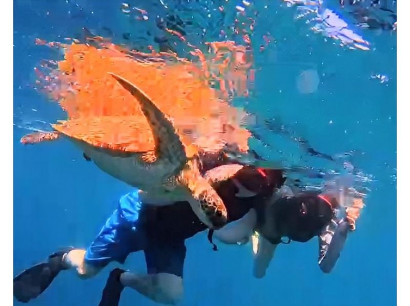 [Ishigaki Island] Blue Cave and Sea Turtle Snorkeling ★ Same-day reservations OK & Beginners Welcome ♪ Easy 1.5 hour course! High chance of encountering sea turtles and Nemo ◎ Free photos + equipment!の紹介画像