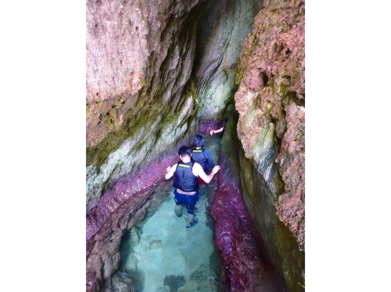 【沖縄・石垣島】青の洞窟と美ら海シュノーケリング体験！１時間半のお気軽コース！【１歳から参加可能】の紹介画像