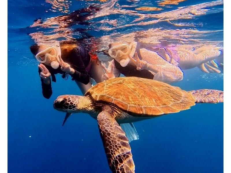 [Ishigaki Island] Blue Cave and Sea Turtle Snorkeling ★ Same-day reservations OK & Beginners Welcome ♪ Easy 1.5 hour course! High chance of encountering sea turtles and Nemo ◎ Free photos + equipment!の紹介画像