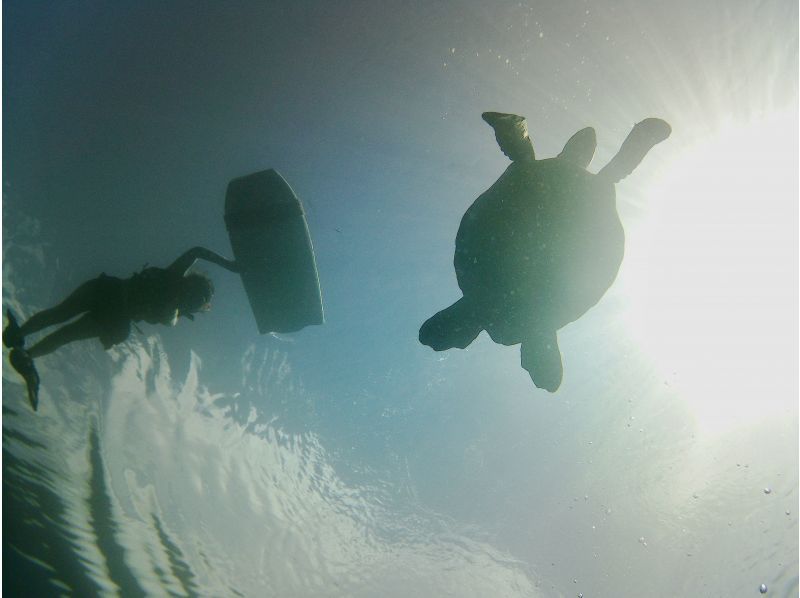 [Okinawa, Ishigaki Island] Blue Cave and sea turtle snorkeling! A casual 1.5 hour course! [Same day reservations welcome]の紹介画像