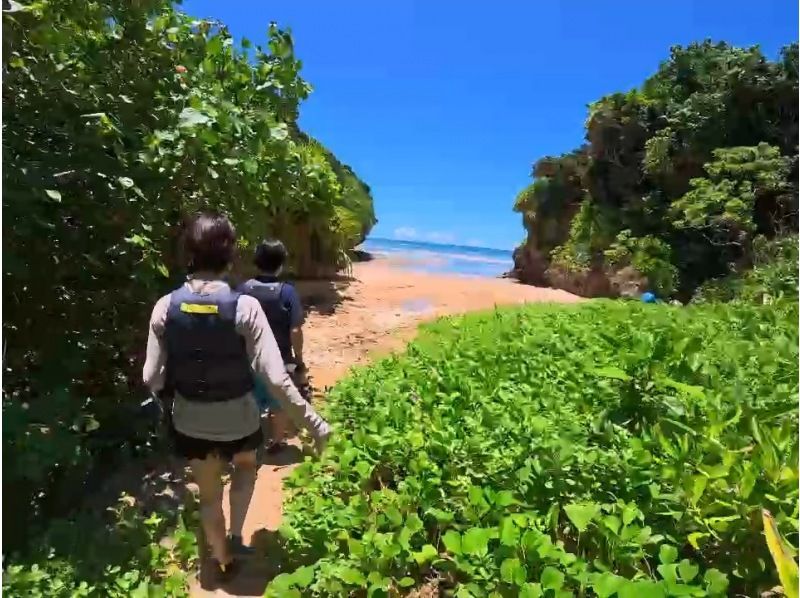 [Ishigaki Island] Blue Cave and Sea Turtle Snorkeling ★ Same-day reservations OK & Beginners Welcome ♪ Easy 1.5 hour course! High chance of encountering sea turtles and Nemo ◎ Free photos + equipment!の紹介画像