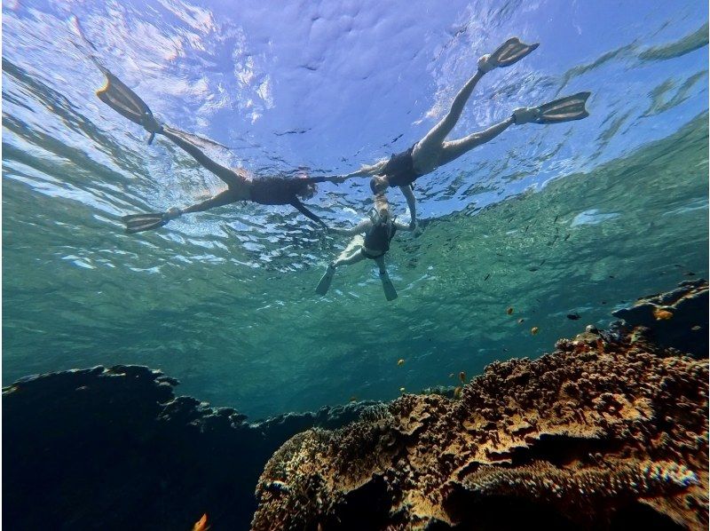 [Ishigaki Island] Blue Cave and Sea Turtle Snorkeling ★ Same-day reservations OK & Beginners Welcome ♪ Easy 1.5 hour course! High chance of encountering sea turtles and Nemo ◎ Free photos + equipment!の紹介画像