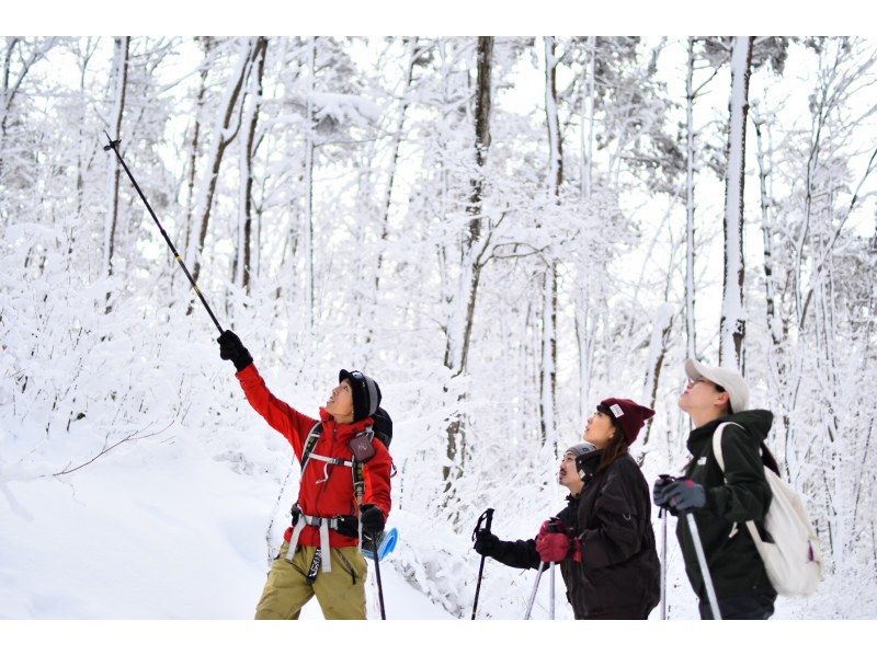 กิจกรรมเดินหิมะ(Snowshoes)เดินป่า guide คู่มือ 1 วัน】の紹介画像