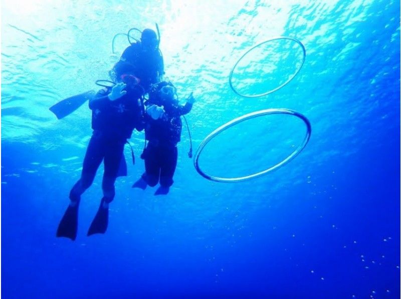 [沖縄[來自中部/北谷]]讓我們在海裡玩一天！ Kerama經驗深潛＆浮潛の紹介画像