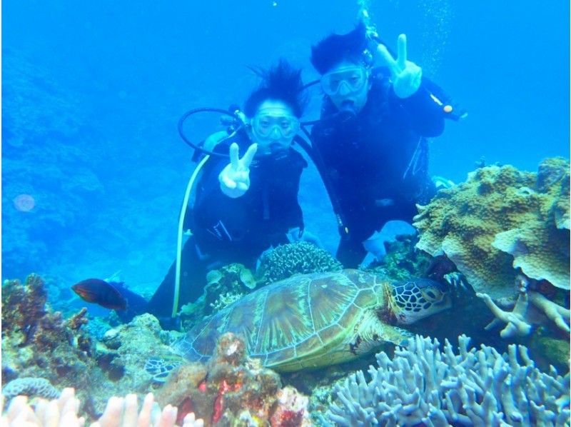 [Okinawa[From Chubu / Chatan]] Let's play in the sea for a day! Kerama experience Diving&Snorkeling