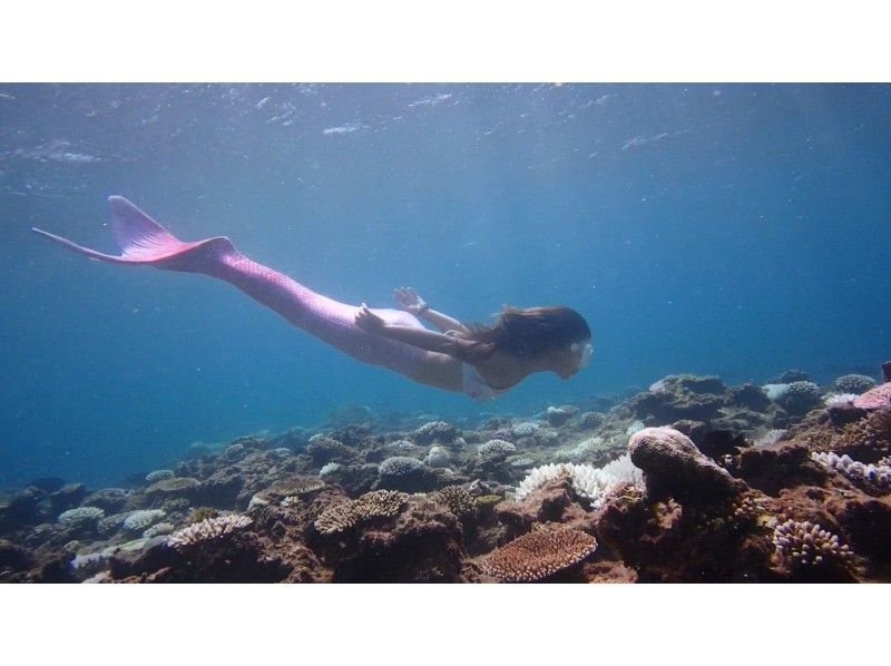 Mermaid experience snorkeling