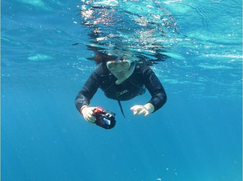 【Okinawa / Miyakojima】 Boat Experience Dive and snorkel, enjoy 2 activities at once!の紹介画像