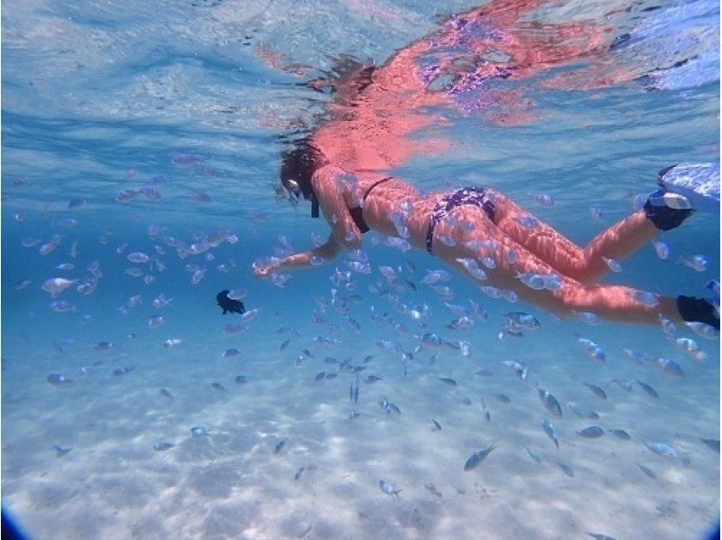[โอกินาว่า・ เกาะอิชิกากิ] รู้สึกอิสระ!การดำน้ำตื้น(Snorkeling)หลักสูตรครึ่งวันหรือ 1 วันの紹介画像