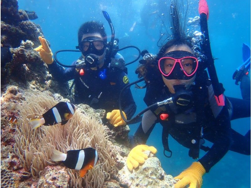 [Special Sale] Experience diving in the Blue Cave in Okinawa! ☆Private tour☆Free photos☆Free equipment rental☆OK for ages 10 and up☆Multiple awards!の紹介画像