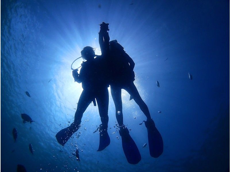 [Special Sale] Experience diving in the Blue Cave in Okinawa! ☆Private tour☆Free photos☆Free equipment rental☆OK for ages 10 and up☆Multiple awards!の紹介画像