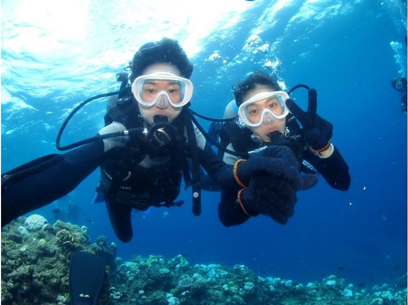 [Special Sale] Experience diving in the Blue Cave in Okinawa! ☆Private tour☆Free photos☆Free equipment rental☆OK for ages 10 and up☆Multiple awards!の紹介画像