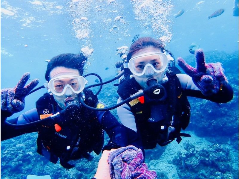 [Special Sale] Experience diving in the Blue Cave in Okinawa! ☆Private tour☆Free photos☆Free equipment rental☆OK for ages 10 and up☆Multiple awards!の紹介画像