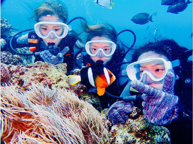 [Special Sale] Experience diving in the Blue Cave in Okinawa! ☆Private tour☆Free photos☆Free equipment rental☆OK for ages 10 and up☆Multiple awards!の紹介画像