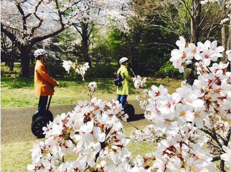 【東京・立川】自然やお花見を満喫！昭和記念公園でセグウェイ体験！未経験者も安心！広い園内をガイドがご案内します！の紹介画像