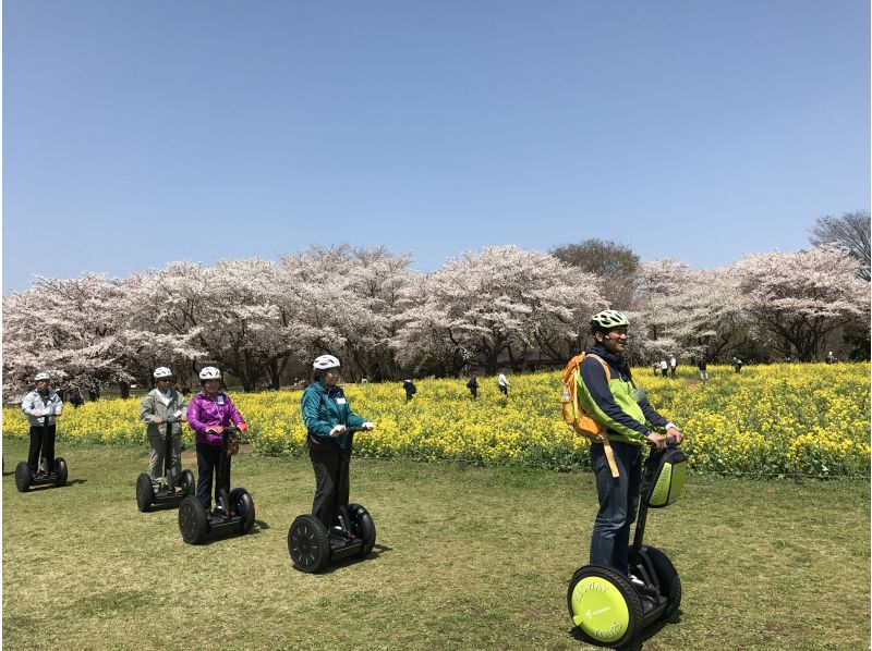 【東京・立川】自然やお花見を満喫！昭和記念公園でセグウェイ体験！未経験者も安心！広い園内をガイドがご案内します！の紹介画像