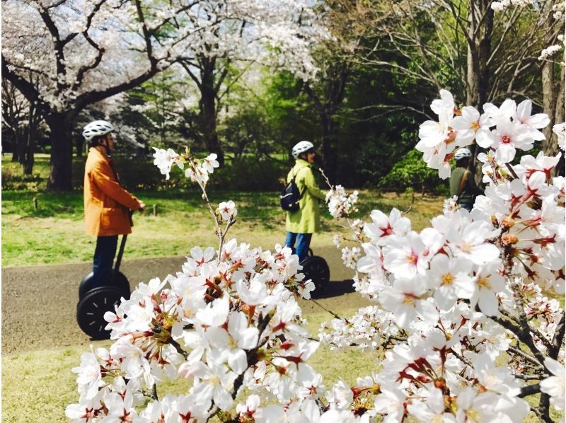 【東京・立川】自然やお花を満喫！昭和記念公園でセグウェイ体験！未経験者も安心！広い園内をガイドがご案内します！の紹介画像