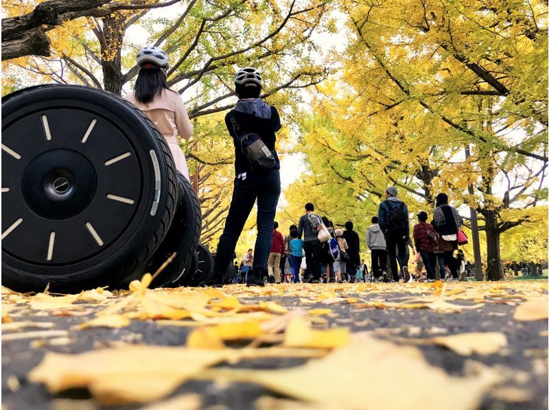 【東京・立川】自然やお花見を満喫！昭和記念公園でセグウェイ体験！未経験者も安心！広い園内をガイドがご案内します！の紹介画像