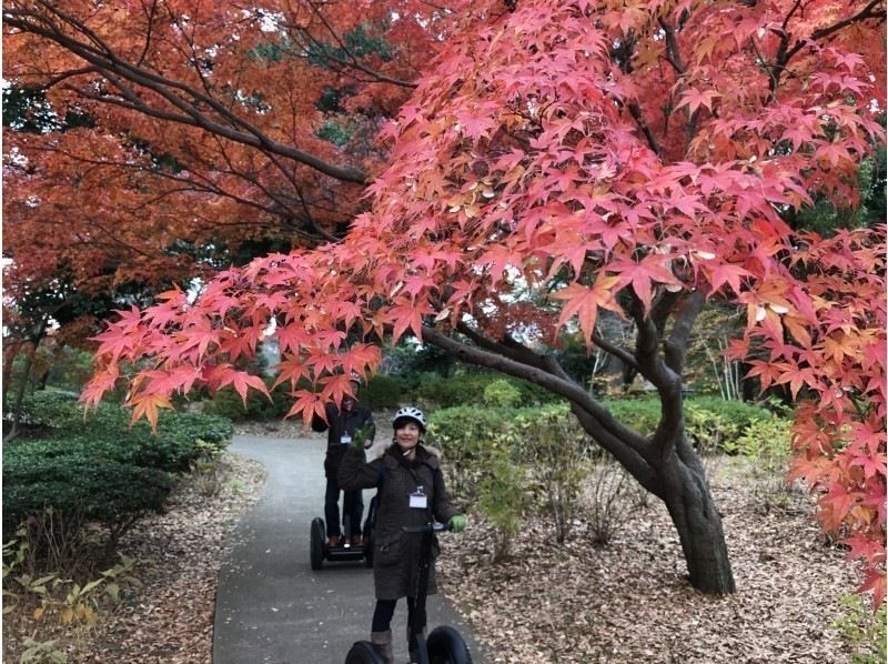【東京・立川】自然やお花を満喫！昭和記念公園でセグウェイ体験！未経験者も安心！広い園内をガイドがご案内します！の紹介画像