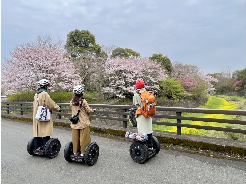 【東京・立川】自然やお花を満喫！昭和記念公園でセグウェイ体験！未経験者も安心！広い園内をガイドがご案内します！の紹介画像
