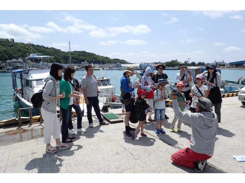 [Northern Okinawa/Headquarters] Winter only! Small Group Luxury Whale Watchingの紹介画像