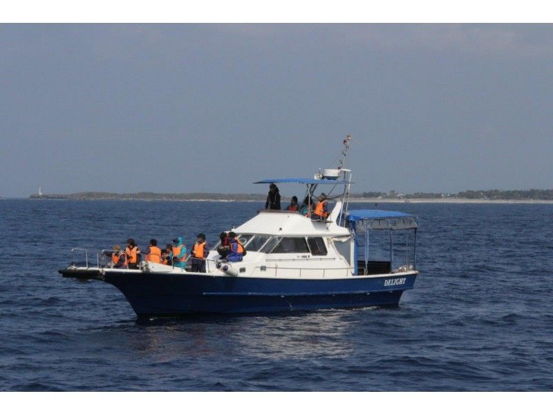 [Northern Okinawa, Motobu] Winter only! Luxury whale watching for small groups, dogs allowed on board, morning/afternoon plan, free transfers availableの紹介画像