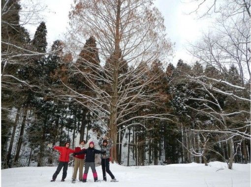 京都 芦生 6才からok 関西の秘境 芦生の森で初めてのスノーシュー雪山散策 ランチ付 アクティビティジャパン