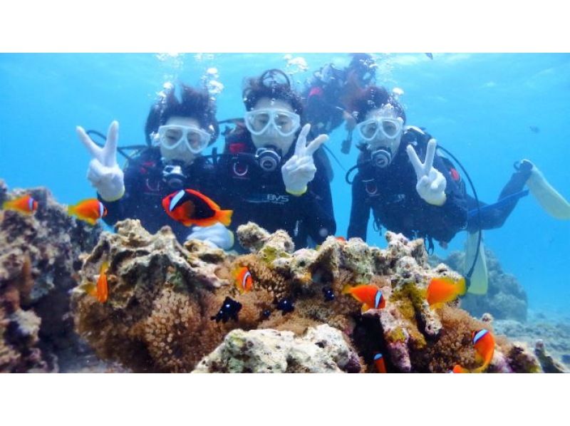 [Half-day enjoyment, experience diving! ! ] Experience diving where you can enjoy both the blue cave and coral reefs!の紹介画像