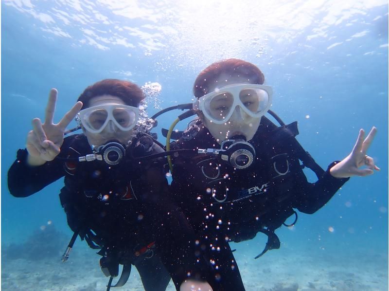 [Half-day enjoyment, experience diving! ! ] Experience diving where you can enjoy both the blue cave and coral reefs!の紹介画像