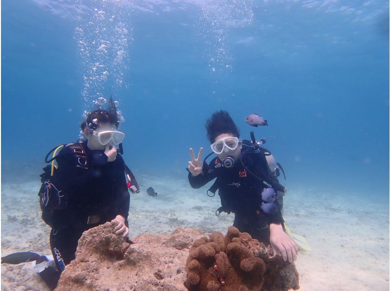 [Half-day enjoyment, experience diving! ! ] Experience diving where you can enjoy both the blue cave and coral reefs!の紹介画像