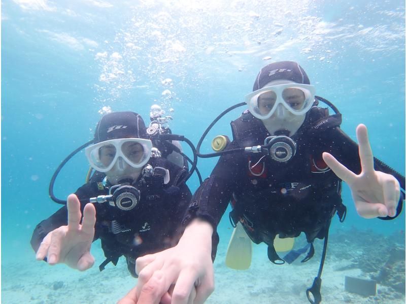 [Half-day enjoyment, experience diving! ! ] Experience diving where you can enjoy both the blue cave and coral reefs!の紹介画像