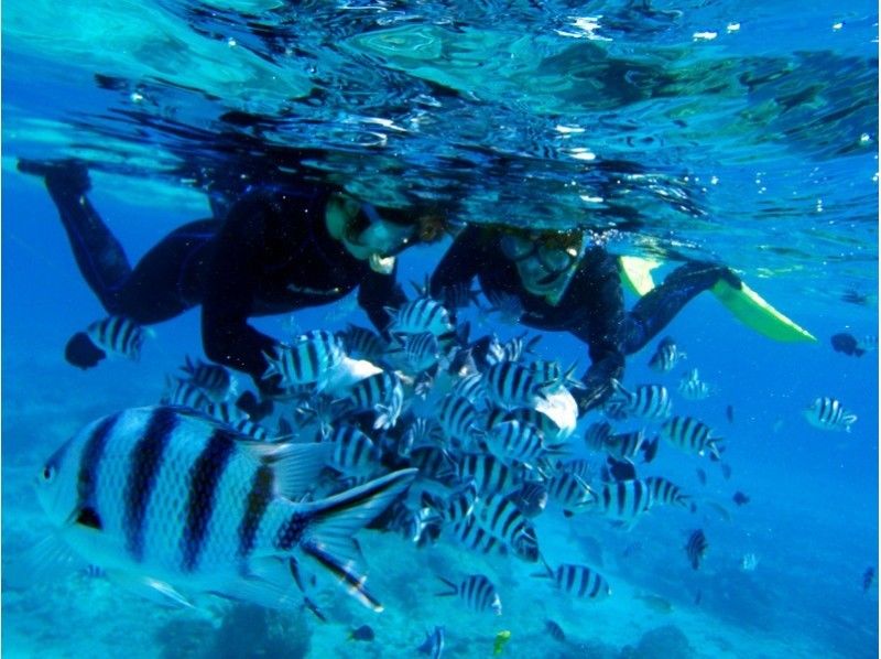 ☆An environmentally friendly diving shop certified by international standards☆ [Enjoy the sea of ​​Onna Village in half a day! ! ] Enjoy snorkeling and trial diving at the coral reefの紹介画像
