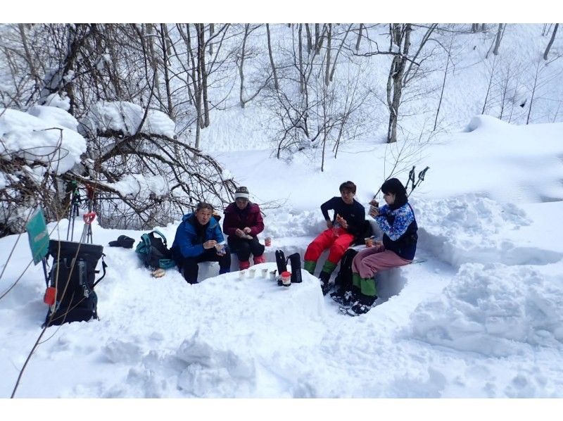 [Kyoto/Shiga border] Children and beginners are welcome! Unexplored region of Kansai! Snow hiking in the Ikusugi forest (warm stew lunch included!)の紹介画像