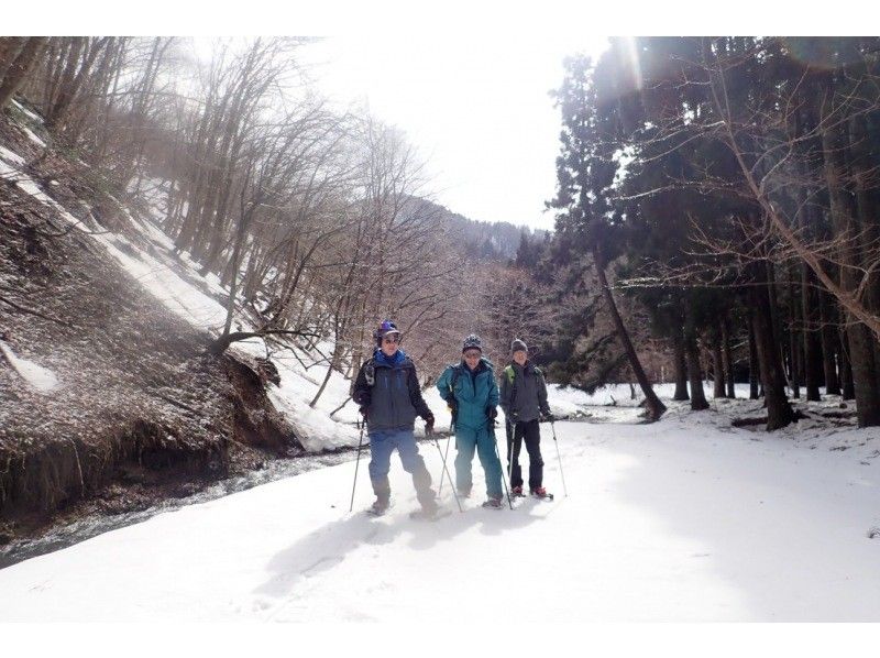 [Kyoto/Shiga border] Children and beginners are welcome! Unexplored region of Kansai! Snow hiking in the Ikusugi forest (warm stew lunch included!)の紹介画像