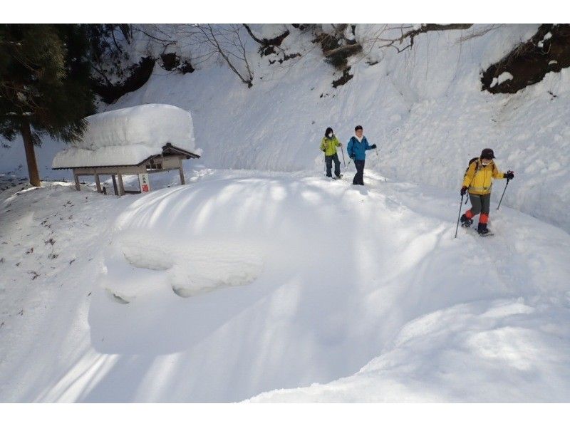 [Kyoto/Shiga border] Children and beginners are welcome! Unexplored region of Kansai! Snow hiking in the Ikusugi forest (warm stew lunch included!)の紹介画像