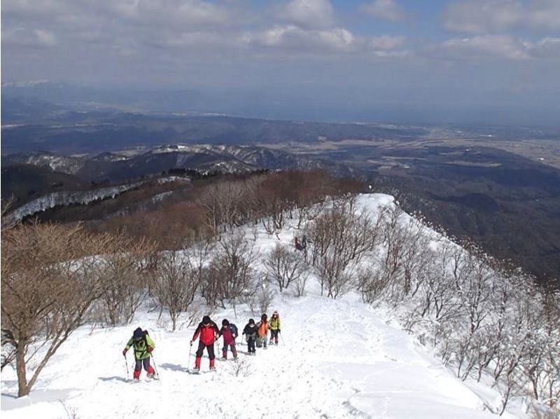 [Kyoto/Shiga border] Children and beginners are welcome! Unexplored region of Kansai! Snow hiking in the Ikusugi forest (warm stew lunch included!)の紹介画像