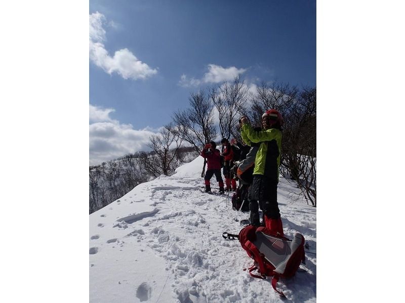 [Kyoto/Shiga border] Children and beginners are welcome! Unexplored region of Kansai! Snow hiking in the Ikusugi forest (warm stew lunch included!)の紹介画像